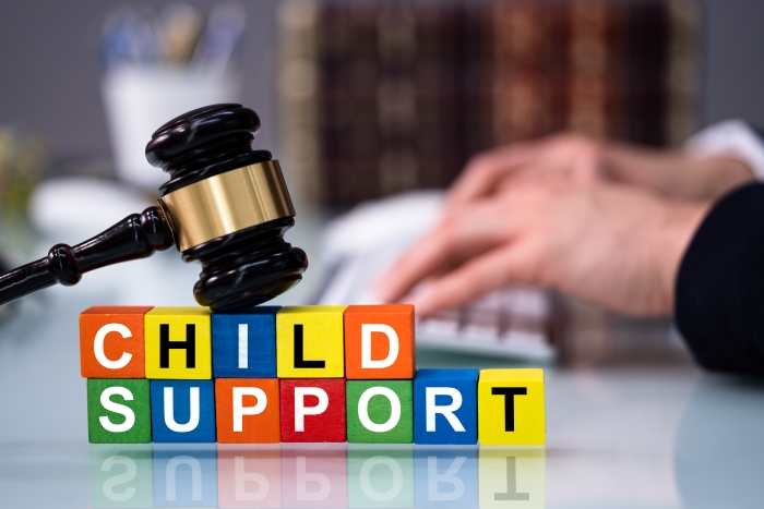 Paying Child Support After Divorce. Court Litigation